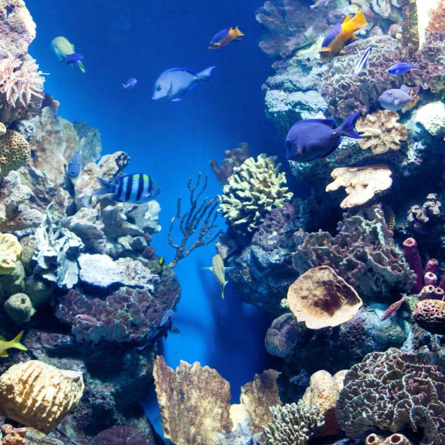Volunteering in belize volunteer tourism meaningful travel